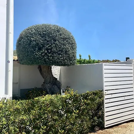 Sun Of Sicily Bed & Breakfast