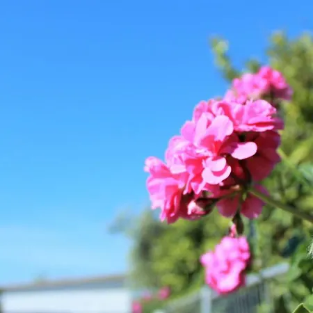 Sun Of Sicily Bed & Breakfast *