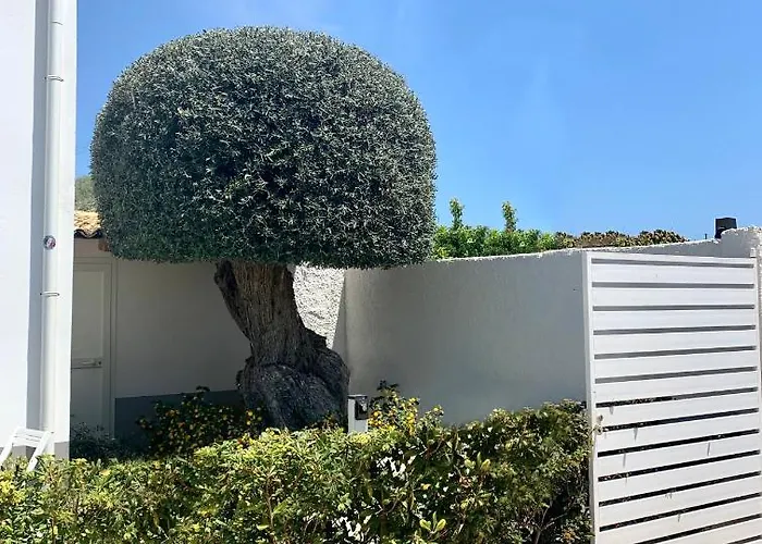 Sun Of Sicily Bed & Breakfast