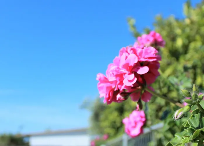 Sun Of Sicily Bed & Breakfast 4*